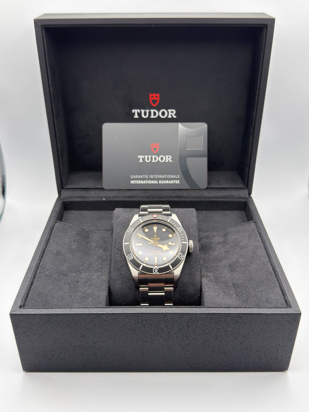 Tudor Black Bay
