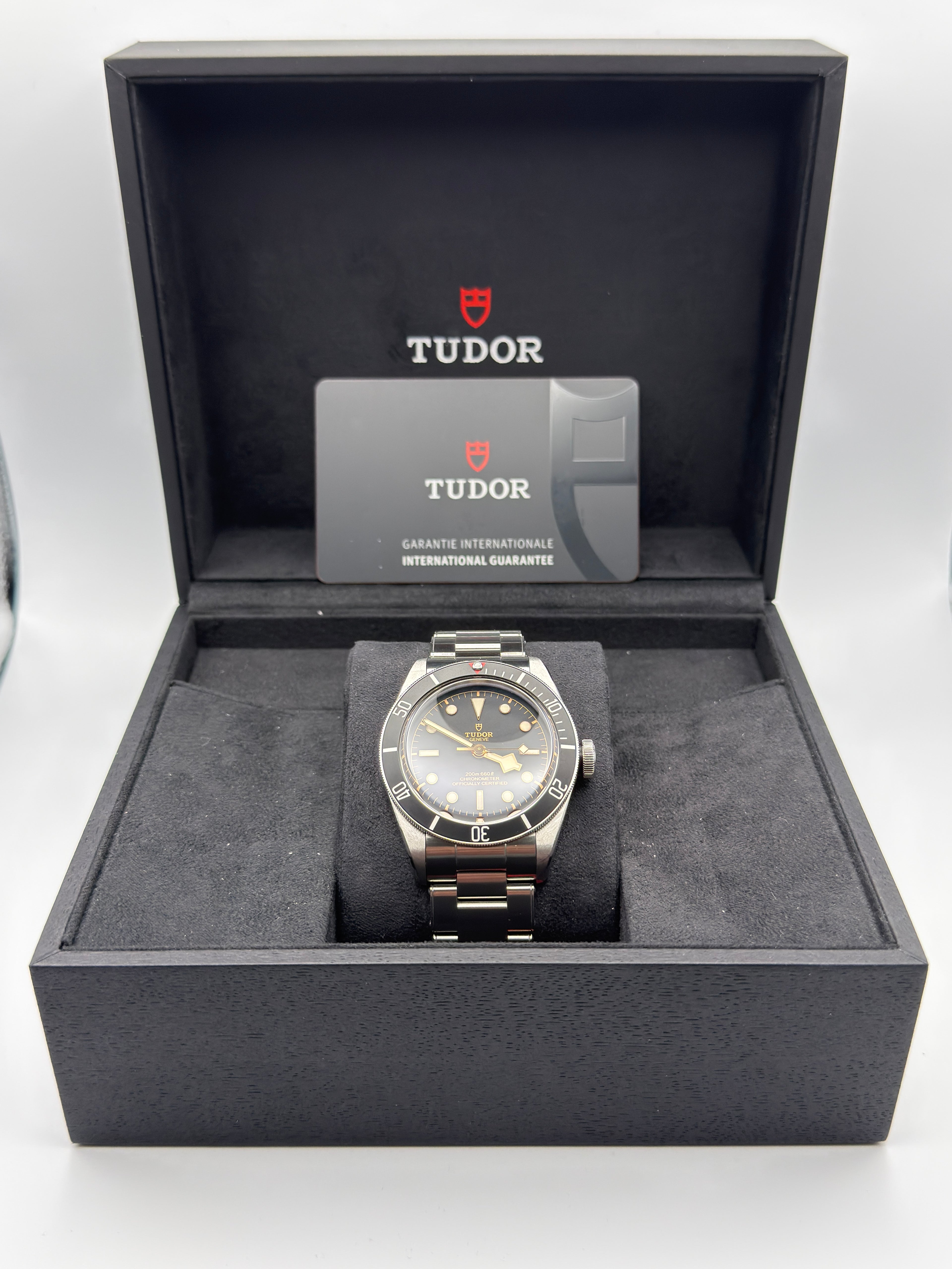 Tudor Black Bay