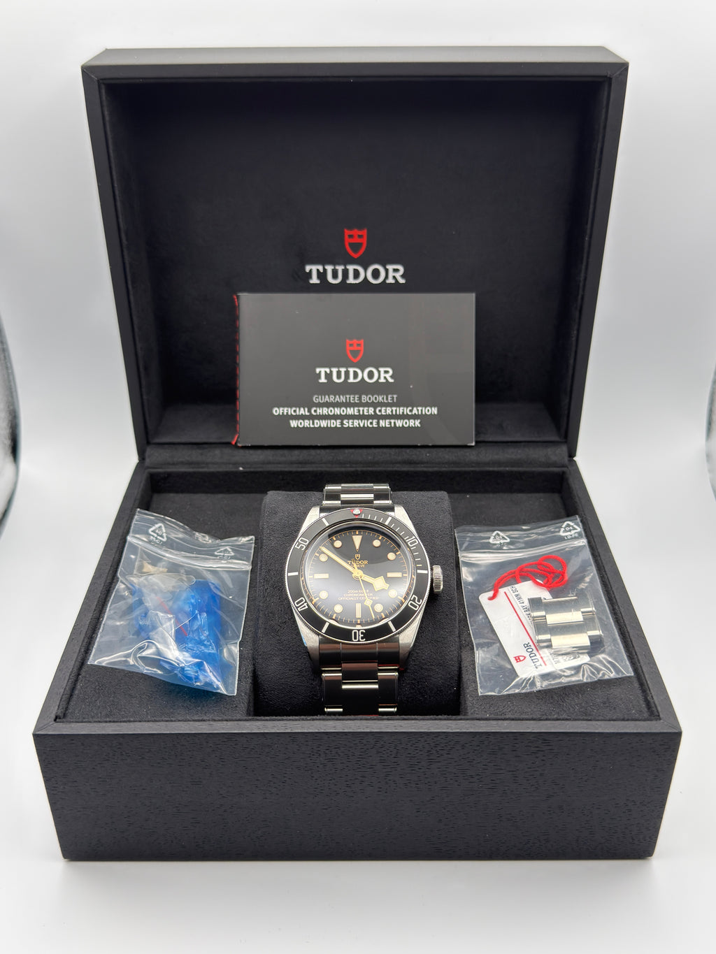 Tudor Black Bay