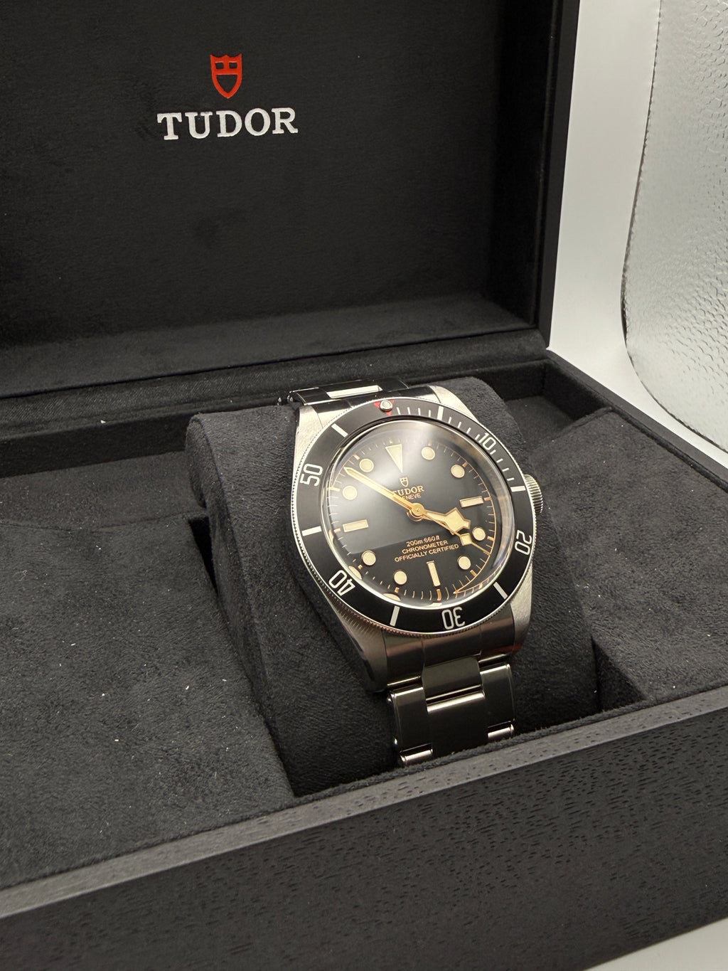 Tudor Black Bay