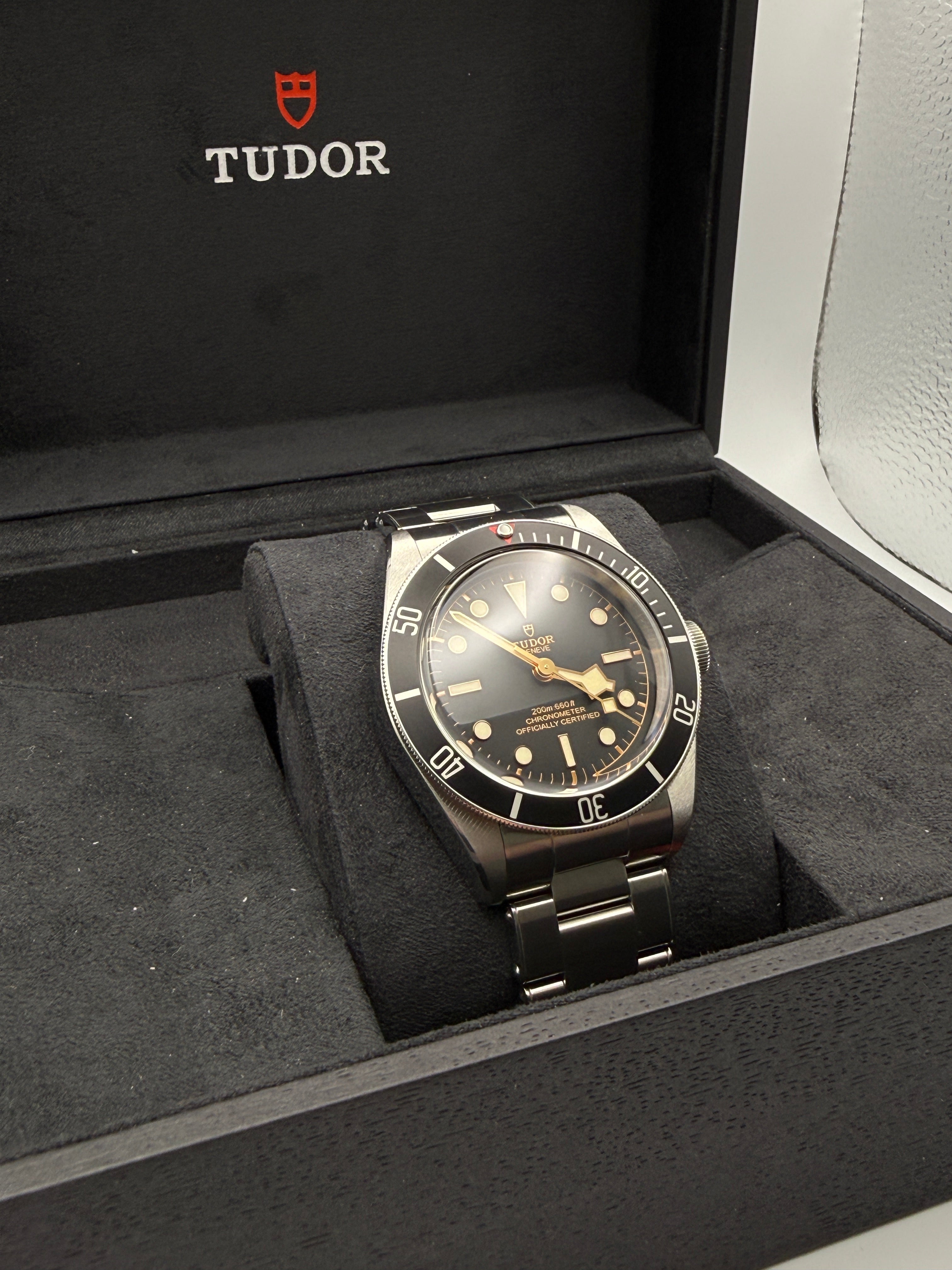 Tudor Black Bay