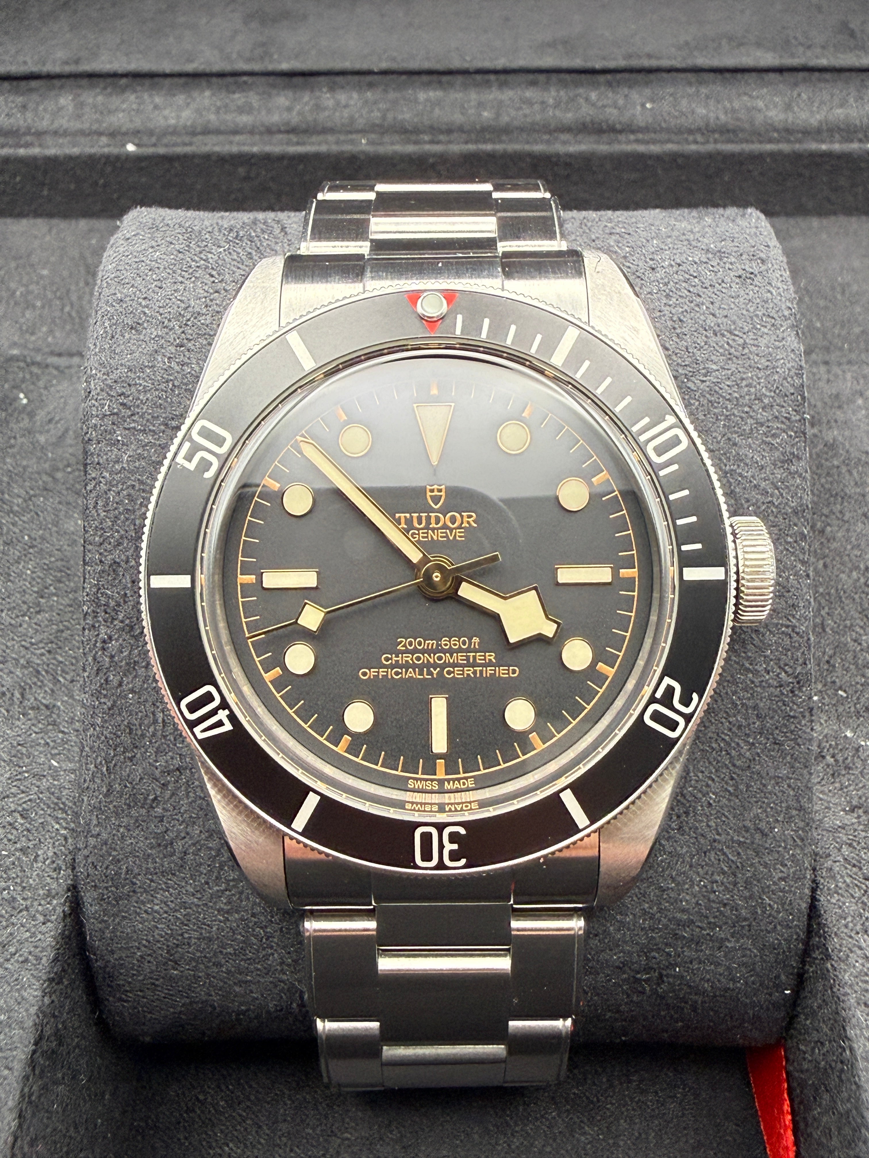 Tudor Black Bay